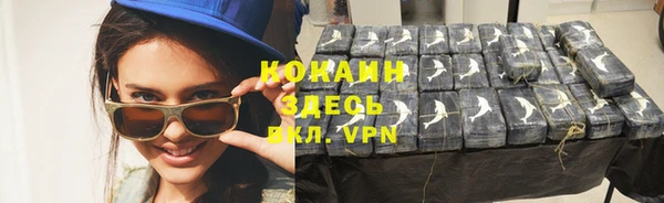 сатива Белокуриха