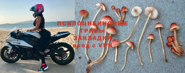 сатива Белокуриха
