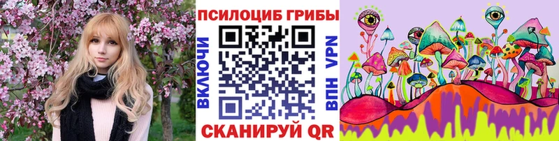 Псилоцибиновые грибы Psilocybe  что такое   Гвардейск 